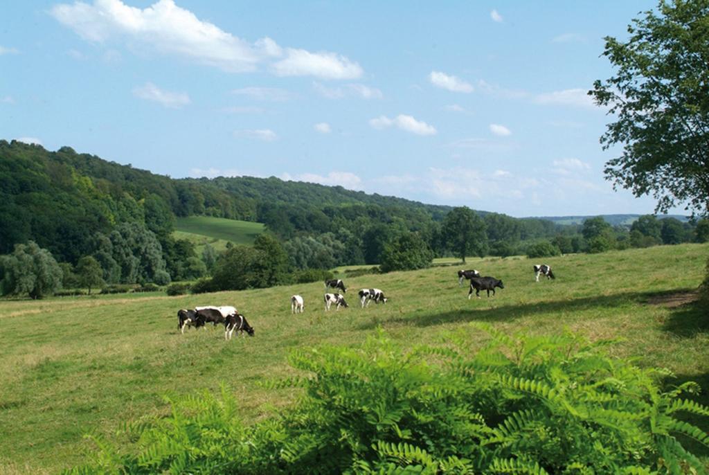 Klein Zwitserland Slenaken Zimmer foto